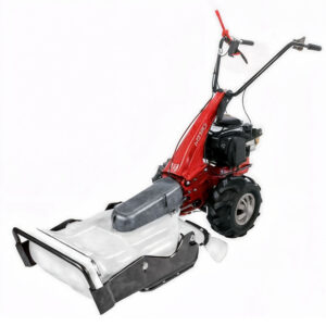 Eurosystems Minieffe M150 RM - Tondeuse débroussailleuse thermique - Lame - B&S 625 EXi